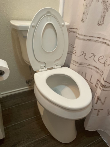 Toilet Replacement